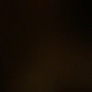 Meet your Posher, Harrison